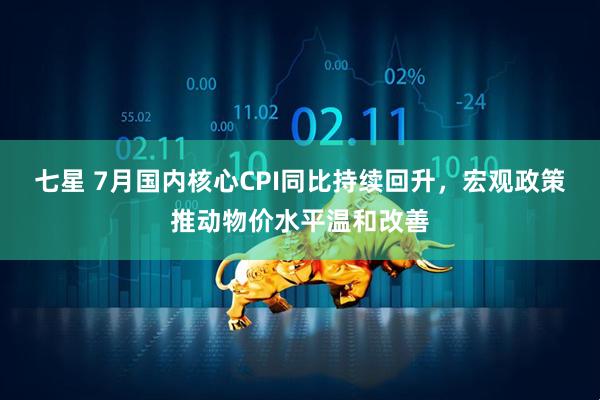 七星 7月国内核心CPI同比持续回升，宏观政策推动物价水平温和改善