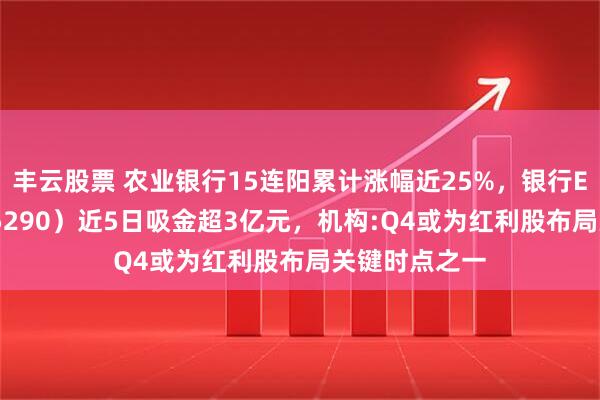 丰云股票 农业银行15连阳累计涨幅近25%，银行ETF天弘（515290）近5日吸金超3亿元，机构:Q4或为红利股布局关键时点之一
