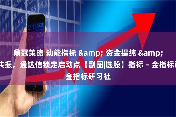 鼎冠策略 动能指标 & 资金提纯 & 多重共振，通达信锁定启动点【副图|选股】指标 – 金指标研习社