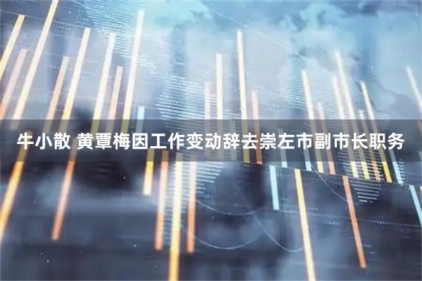 牛小散 黄覃梅因工作变动辞去崇左市副市长职务